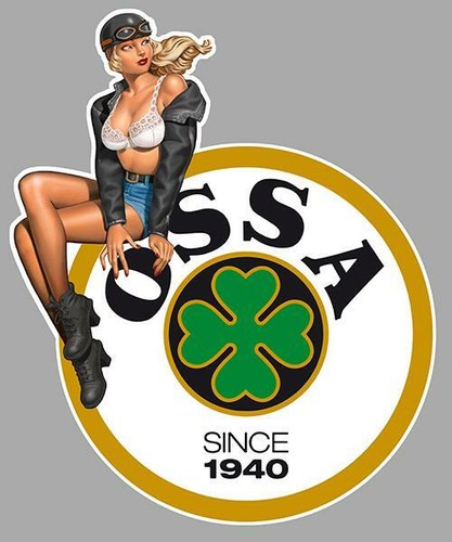 Ossa left pin - pin, gauche