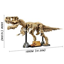 Fossile Dinosaure T Rex- Set