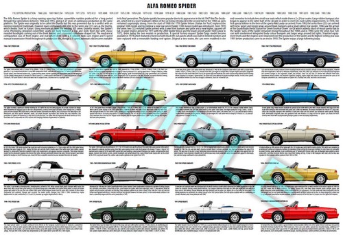 Alfa romeo spider - duetto, /