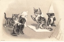 CHATS #MK43642 CHAT ET CHATONS