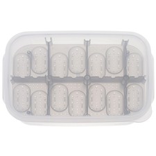  Tortue Incubateur D'oeufs