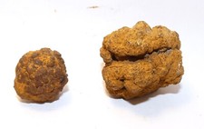 Minerals Collection - Lot of 2 Marcasite / Marcassite in Nodules - 102g