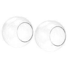 Globe Terrarium Air Plante