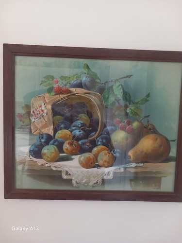 Chromolithographie nature - chromolithographie,