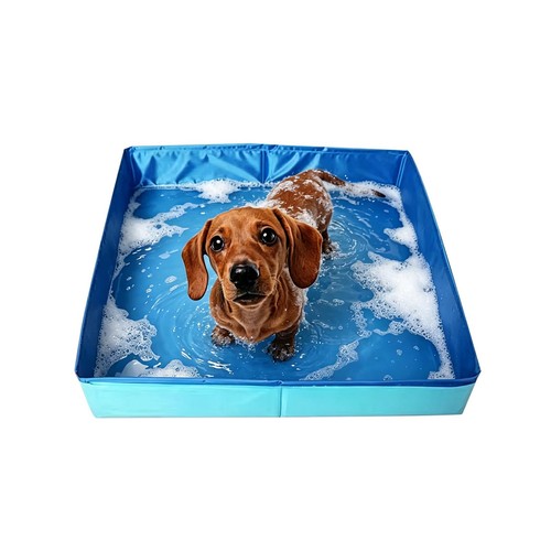 Piscine pour chien chat - piscine,