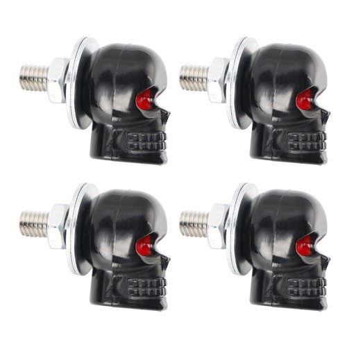 Vis plaque immatriculation - 4x,