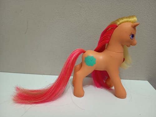 Little pony rocky petit - little,
