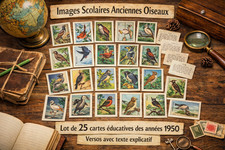 25 Images Scolaires Anciennes