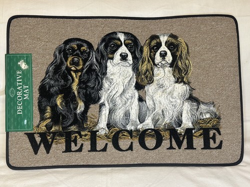 Tapis entrée welcome - tapis,