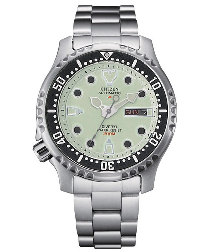 Montre promaster diver - montre,