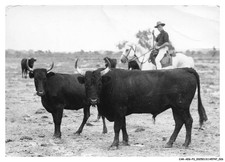 CAR-AEGP3-0149-13 - EN