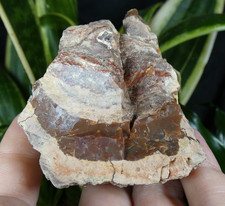 Agate Lithophyse Brut Massif Esterel 6x5.5cm Fréjus Var France collection ancien