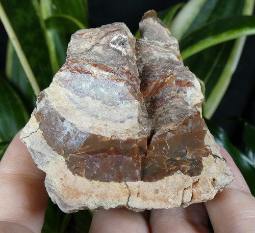 Agate lithophyse brut - lithophyse,