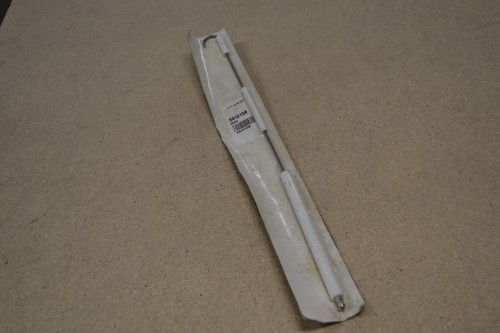 Electrode porcelaine riello - porcelaine,