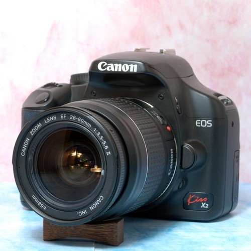 Appareil photo reflex