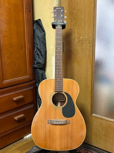 étui souple elite takamine - Étui,