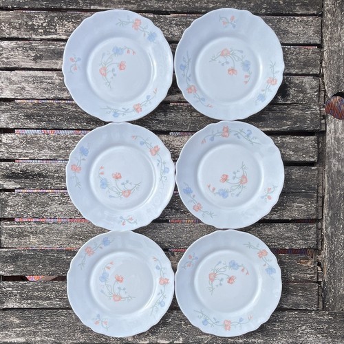 Arcopal lot assiettes - lot,