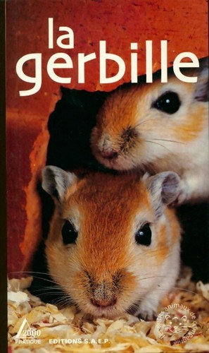 Gerbille hubert klein - gerbille,