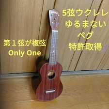 5 string ukulélé