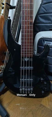 Modulus genesis cordes - modulus,