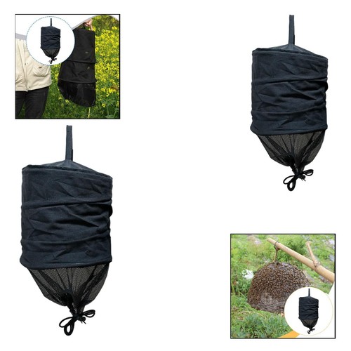 Cage abeilles essaim - à, abeilles,