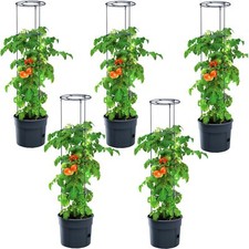 5 x pot pour plante de tomate