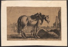 1645 Gravure Eau-forte Le