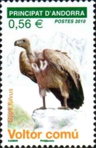 Timbre oiseaux rapaces vautour - timbre,
