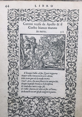 Hibou 1559 corbeau gravures - hibou,