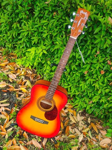 Guitare acoustique cort cag - acoustique, cag-1f
