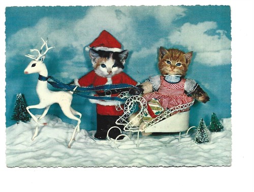 Fantaisie illustration chats - fantaisie,