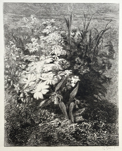 Fleurs prairie gravure eau - fleurs,