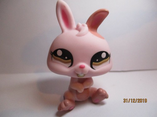 Petshop lapin nain - lapin, n°1366