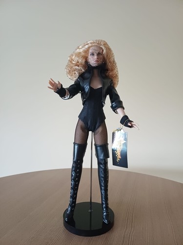 Robert tonner doll - robert,