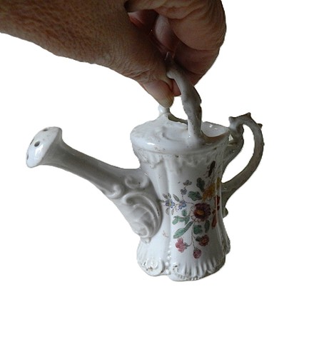 Charmant petit arrosoir - charmant,