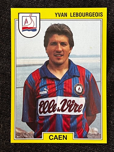 Vignette sticker panini foot - vignette,