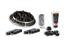 Malossi 5118054 Variateur