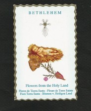 PIOUS IMAGE relic REAL DRIED FLOWERS JESUS NATIVITY SCENE Holy Land BETHLEHEM