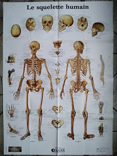 Poster affiche 82 cm - poster, 60