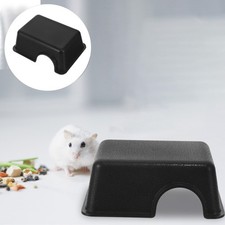  Accessoire Terrarium