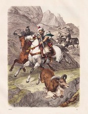 Mouflon Chasse Maroc Afrique Lithographie 1862