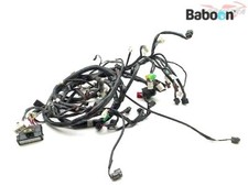 Faisceau de câblage SYM