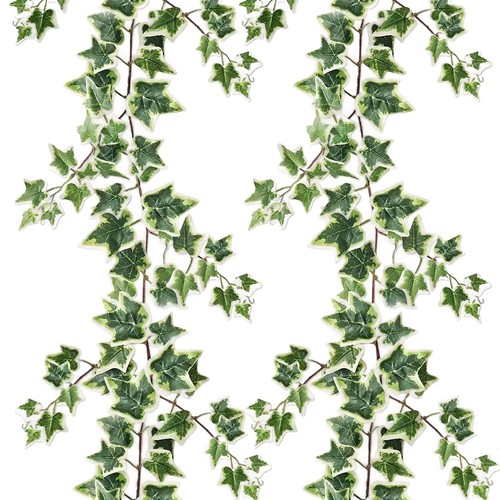 Lierre artificielle plantes - lierre,