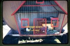 Rabbit Cage at Brainerd Minnesota in 1956, Kodachrome Slide aa 28-1b