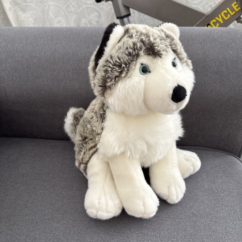 Peluche chien husky soft - chien,