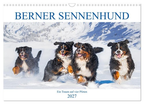 Calendrier 2027 french - calendrier,