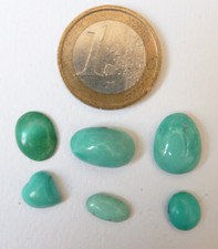 Lot of 6 Turquoises for Earrings or Ring Semi Precious Stone Heart