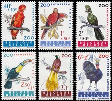 Belgique 1216/21 1962 Œuvres Philanthropiques Faune Oiseaux Du Zoo D'Anvers MN
