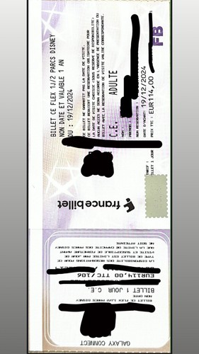 Billet disneyland - billet,