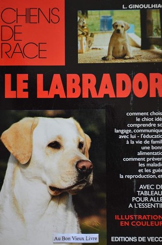 Labrador ginoulhiac - labrador,